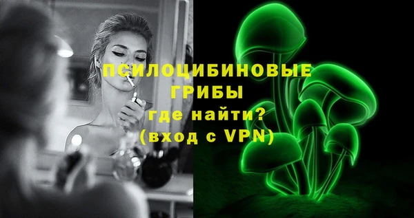 мдпв Горнозаводск