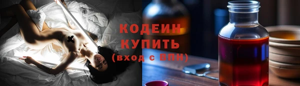 мдпв Горнозаводск