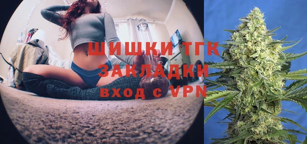 мдпв Горнозаводск