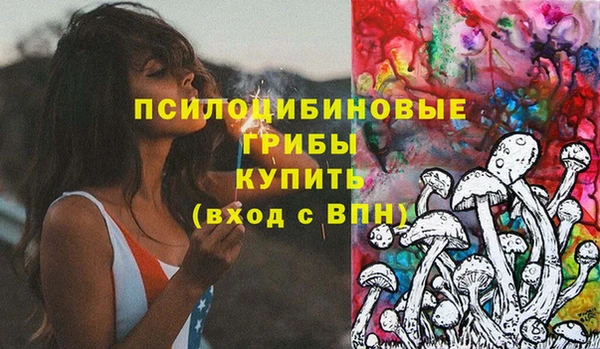 2c-b Горно-Алтайск