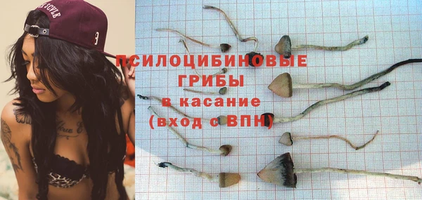 2c-b Горно-Алтайск