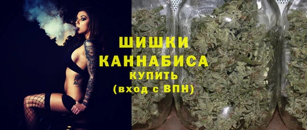 2c-b Горно-Алтайск