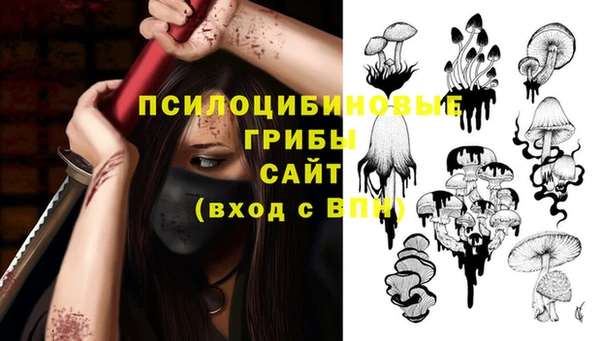 мдпв Горнозаводск