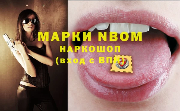 мдпв Горнозаводск