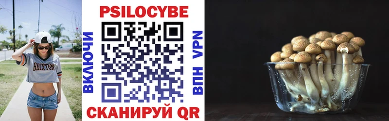 Псилоцибиновые грибы Magic Shrooms  Купить закладки  Наволоки 