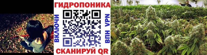 Шишки марихуана THC 21% Наволоки